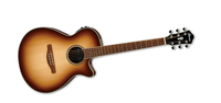 AEG Series Electric/Acoustic Guitar