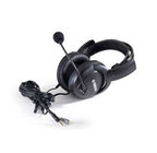 Headset with Built-In Microphone