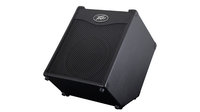MAX 110 II [RESTOCK ITEM] 100W 1x10&quot; Bass Combo Amplifier with DDT Speaker Protection