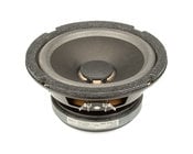 Speaker for 250 ML Series I and II Amp