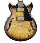 AM Series Hollow Body Electric Guitar in Antique Yellow Sunburst