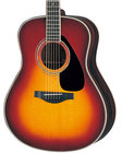 Sunburst Jumbo Acoustic Guitar
