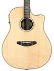 16&#039; Stage Dreadnought Acoustic-Electric Guitar