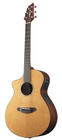 Solo Concert LH Left-Handed Acoustic-Electric Guitar