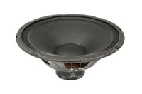 12" Woofer for B812NEO