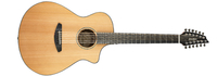 Solo 12-String Solo 12-String Acoustic-Electric Guitar