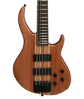 5-String Bass Guitar