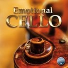 Best Service Emotional Cello Virtual Cello Instrument For NI Kontakt 5 [download]