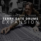 Steven Slate Drums TRIGGER 2 Terry Date Exp Terry Date Exp for TRIGGER 2 (download)