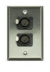 Whirlwind WP1/2FNS Single Gang Wallplate in Silver with 2 XLRF Connectors