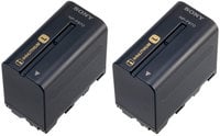 Lithium-Ion Battery, 12 Hour, 2 pack