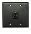 Dual Gang Black Wallplate with 1 NL4 Connector