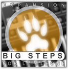 Xhun Audio Big Steps Multi-style Sequence and Phrase Library for Xhun LittleOne [Download]