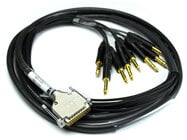 10' Snake Cable with 8 TRSM to DB25-M