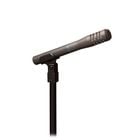 Cardioid Condenser Microphone, Battery or Phantom Powered