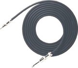 Whirlwind AD2-10 10' 1/4" TS to RCAM Adapter Cable