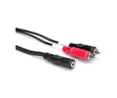 10' 3.5mm TRSF to Dual RCA Audio Y-Cable