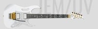 SteveVaiJEM Guitar Steve Vai JEM White