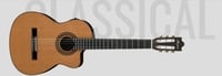 ClassicalAcousticElectric Acoustic Classical Nylon String GA Series w/Cutaway