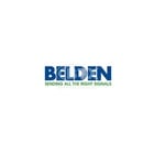 Belden CA21106003 3 ft 10GX Modular Patch Cord in Blue