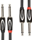 Roland RCC-10-2814  10' Dual 1/4" TS to 1/4" TS Cable 