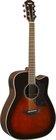 Acoustic-Electric Guitar, Sitka Spruce Top, Rosewood Back and Sides