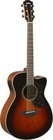Acoustic-Electric Guitar, Sitka Spruce Top, Mahogany Back and Sides