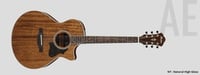 Acoustic Electric Guitar - Natural High Gloss
