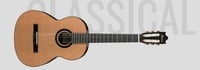 Natural High Gloss 3/4-Size Classical Guitar