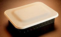 Subwoofer Wall/Ceiling 8" 240w