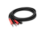 6.6' Dual 1/4" TS to Dual RCA Audio Cable