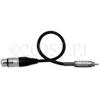 3Ft XLR(F)-Mini(M) Cable 