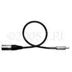 Cable Audio XLRM-3.5mm 3 ft 