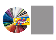 Rosco E-Colour #210 0.6 Neutral Dens Filter/2STP-E, 21x24" Sheet