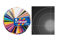 Cinegel Diffusion Sheet, 20"x24", 3009 Light Tough Frost