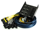 Whirlwind MLTSN10X6-50 50' Multisnake with 4 XLR and 6 Mic / DI Combo Inputs