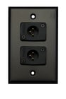 Single Gang Wallplate with 2 XLRM Connectors