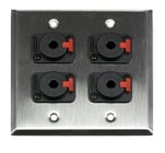 Dual Gang Wallplate with 4 1/4" Jacks, Silver