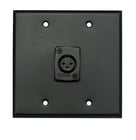 Whirlwind WP2B/1FW  Dual Gang Wallplate with 1 Whirlwind WC3F XLRF Connector,Blk 