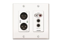 2x2 Channel Dante Audio Interface 2-Gang Wall Box, White