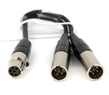 Lectrosonics MCTA6TA5M2  6" TA6F to Dual TA5M Microphone Adapter Cable 