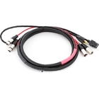 Pro Co EC2-25 25' Combo Cable with Dual XLR and Edison to IEC