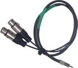 10' Excellines 1/8" TRS to Dual XLRF Cable