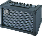 Battery-Powered Stereo Guitar/Vocal Modeling Amplifier