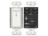 RDL D-BT1A Wall-Mounted Bluetooth Audio Format-A Interface