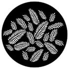 Steel Gobo, Ferns