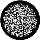 Steel Gobo, Bare Branches 2