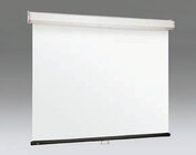 Draper 206066 [Restock Item] 96" x 96" Luma 2 Matt White Manual Projection Screen