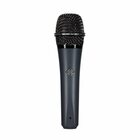 Telefunken M81-TELEFUNKEN Dynamic Cardioid Microphone