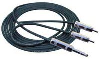 3' 3.5mm TRS-M to Dual 1/4" TS-M Y Cable 